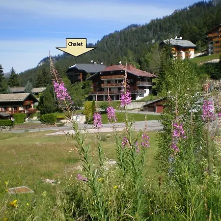 Col Du Corbier 1230m Apartment Le Biot